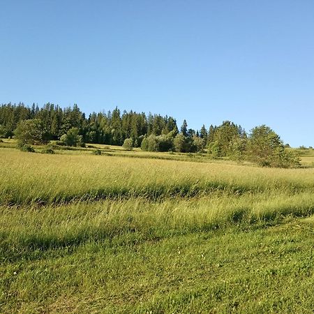 Villa Cicho Sza Czarna Góra Exteriör bild